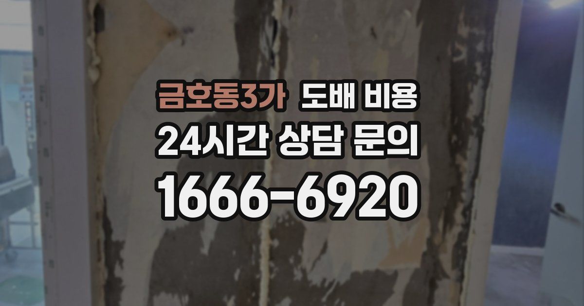 금호동3가 도배 비용
