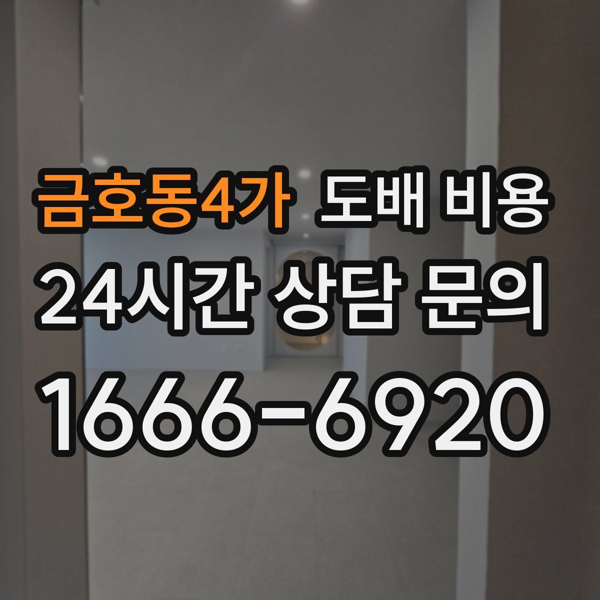 금호동4가 도배 비용