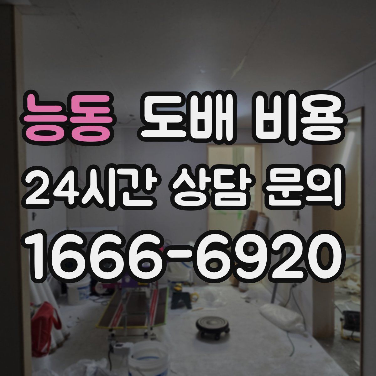 능동 도배 비용