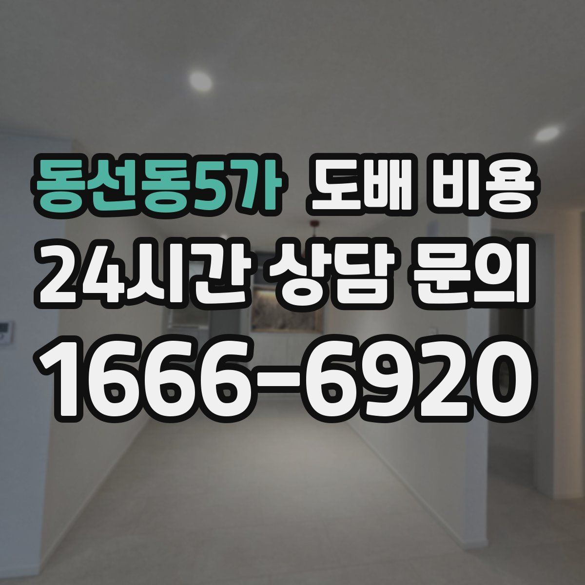동선동5가 도배 비용