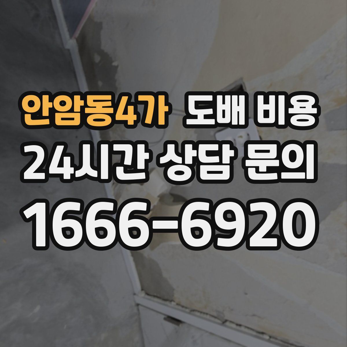 안암동4가 도배 비용
