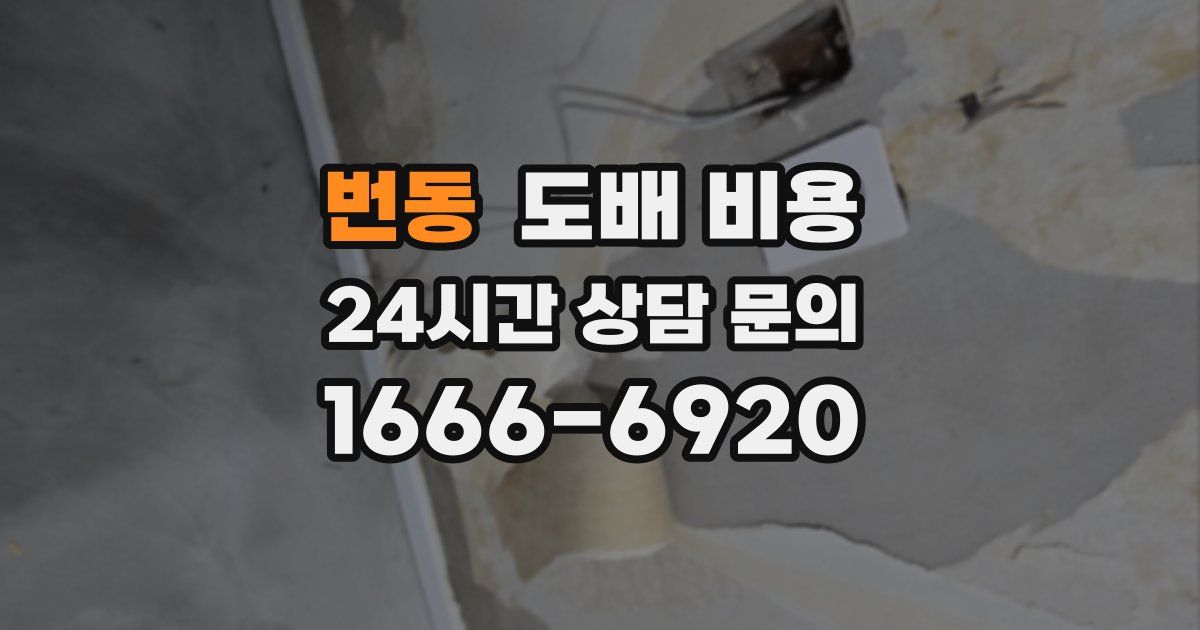 번동 도배 비용