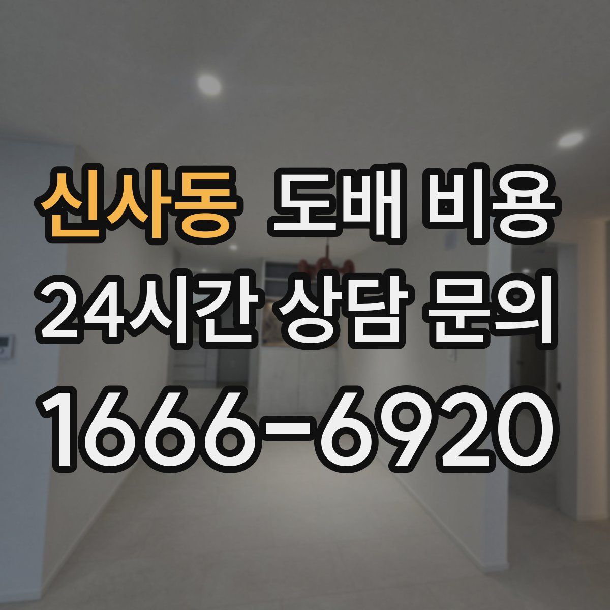 신사동 도배 비용