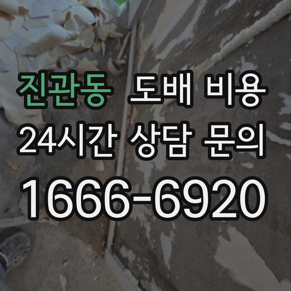 진관동 도배 비용 산출 과정과 견적 흐름