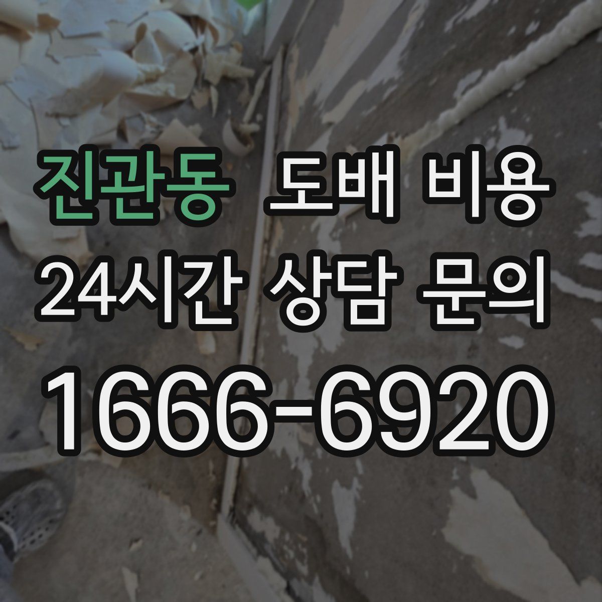 진관동 도배 비용