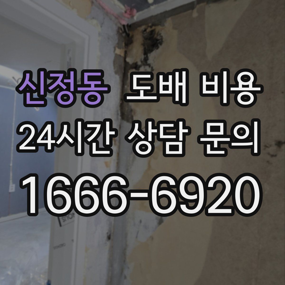 신정동 도배 비용
