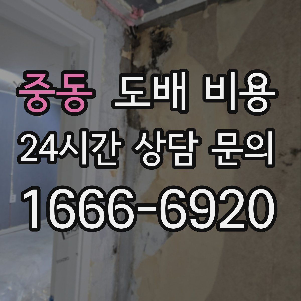 중동 도배 비용