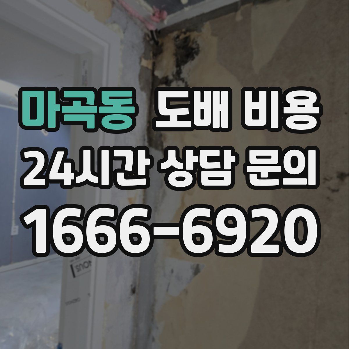 마곡동 도배 비용