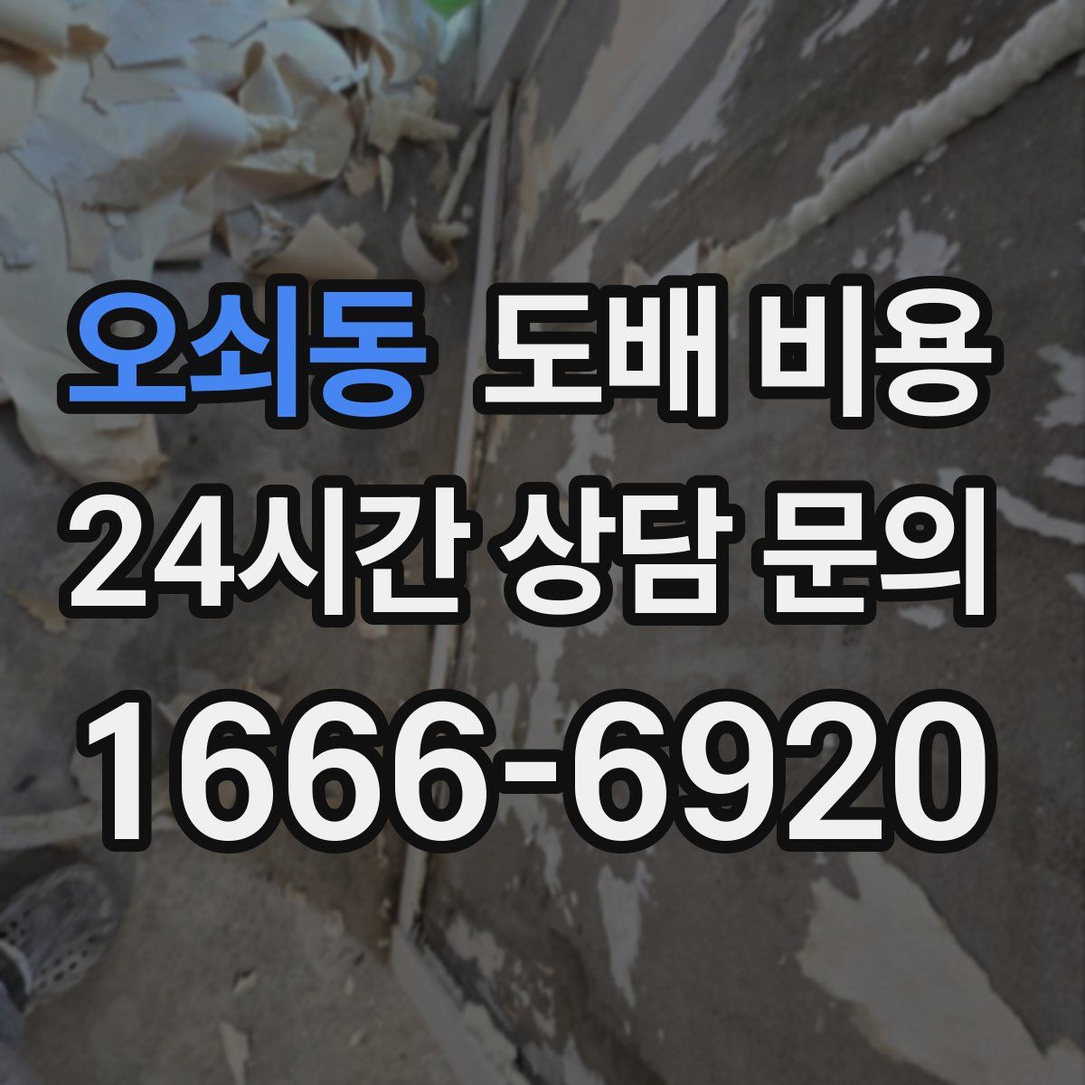 오쇠동 도배 비용