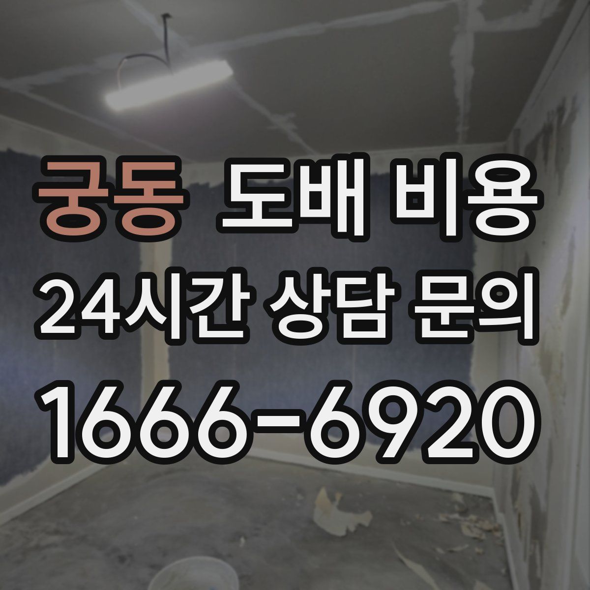 궁동 도배 비용