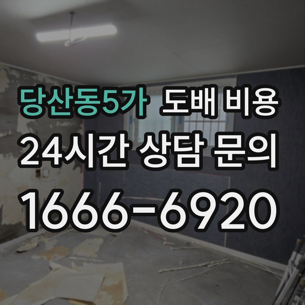 당산동5가 도배 비용