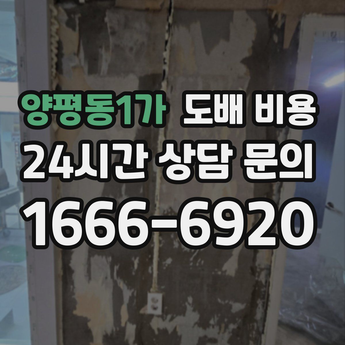 양평동1가 도배 비용
