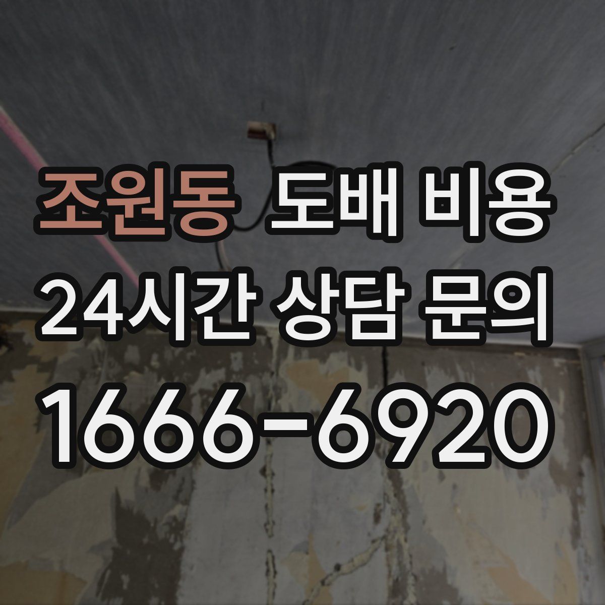 조원동 도배 비용