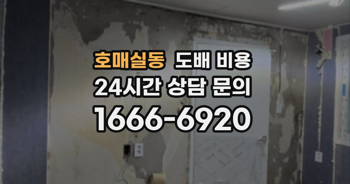 호매실동 도배 비용
