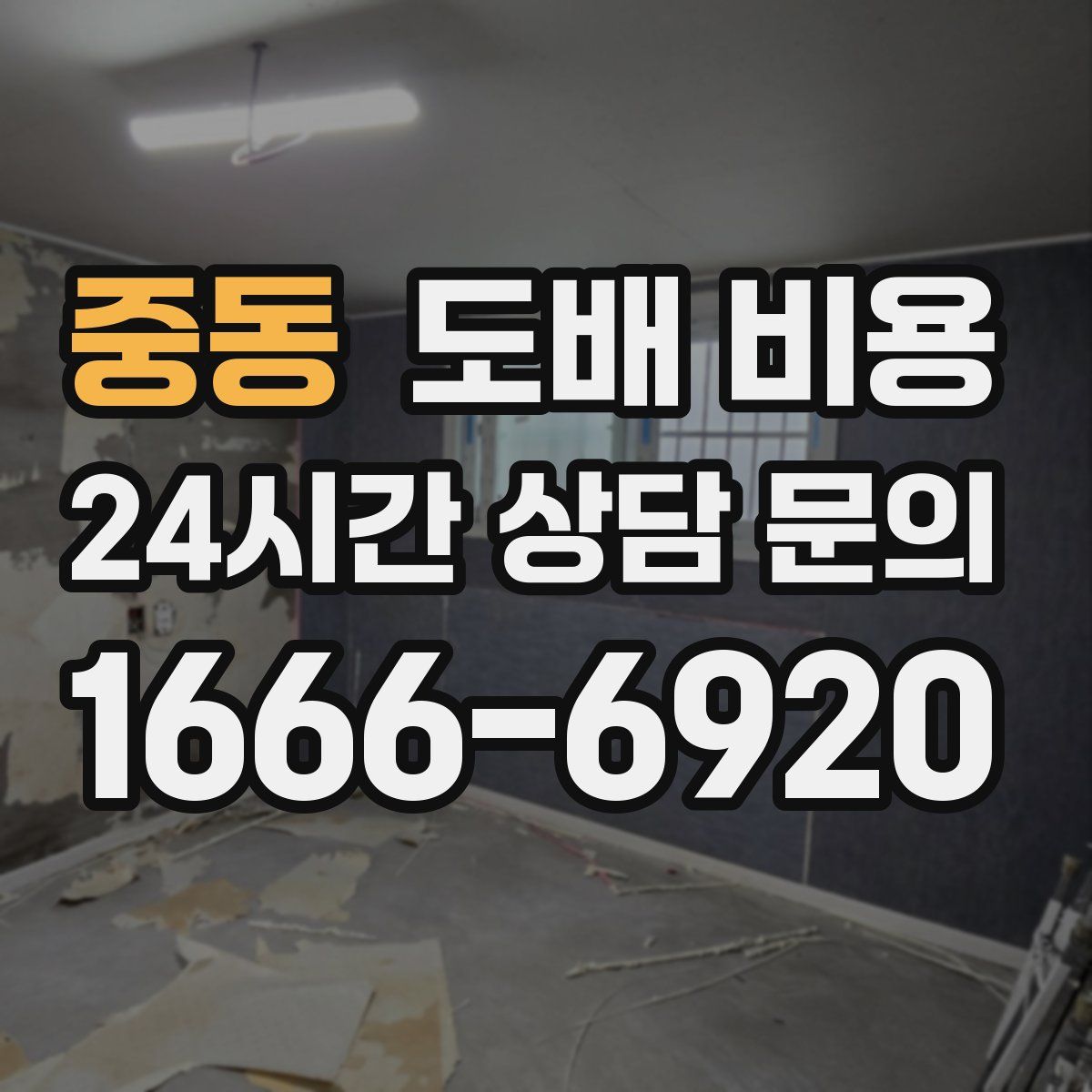 중동 도배 비용