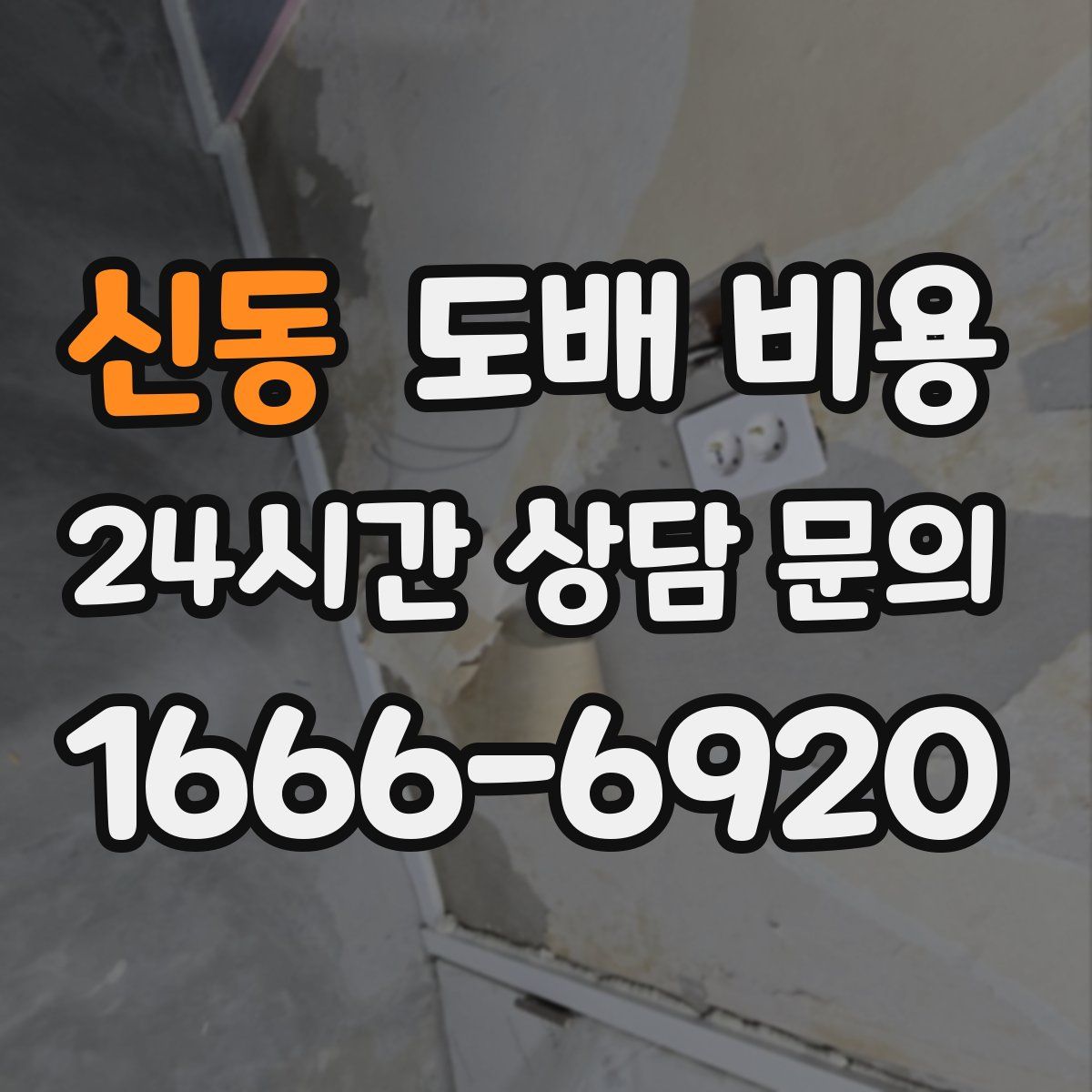 신동 도배 비용