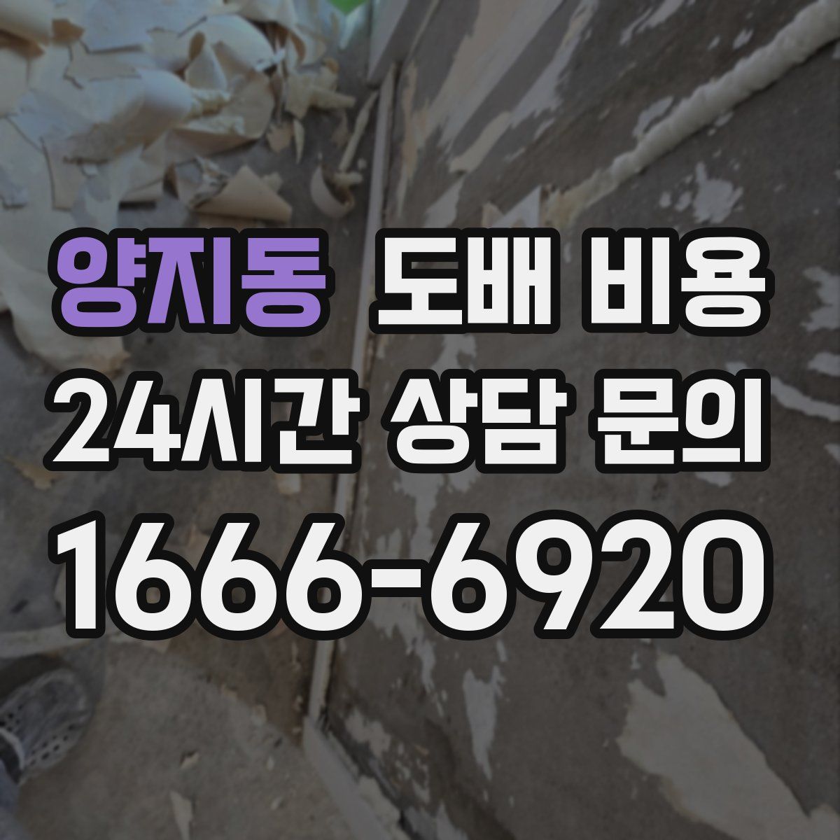 양지동 도배 비용