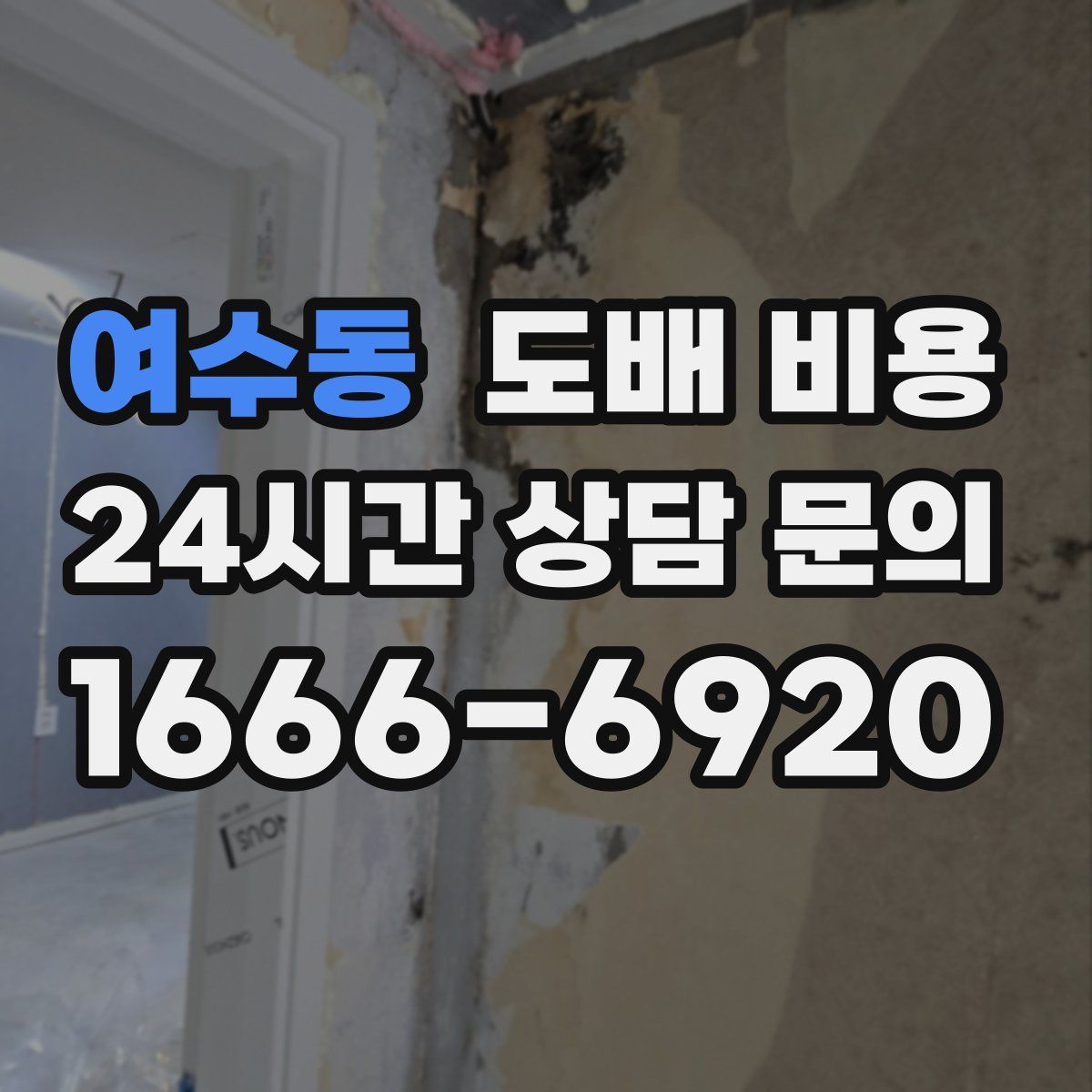 여수동 도배 비용