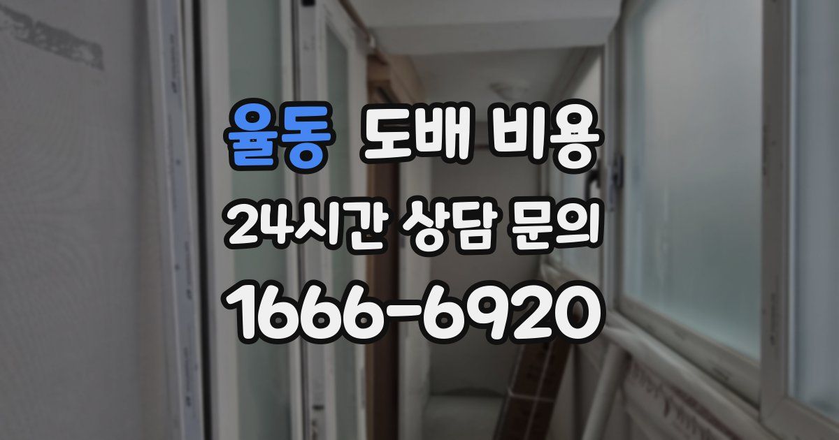 율동 도배 비용