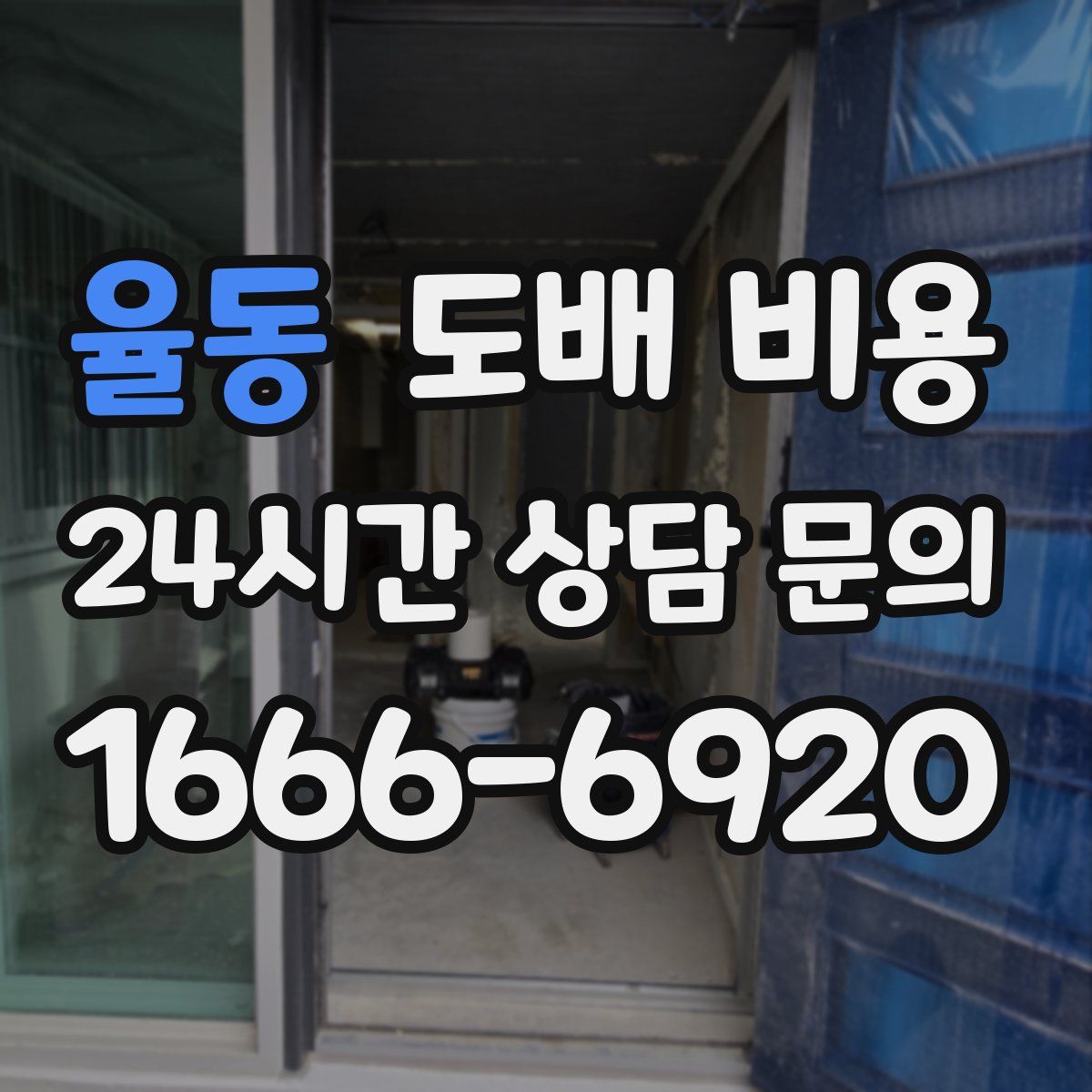 율동 도배 비용
