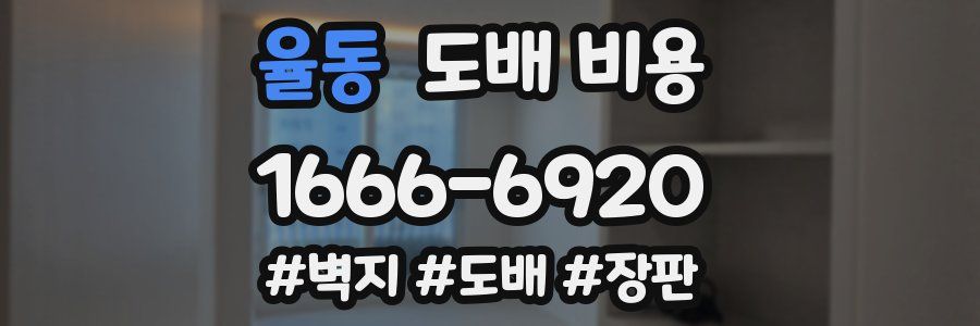 율동 도배 비용