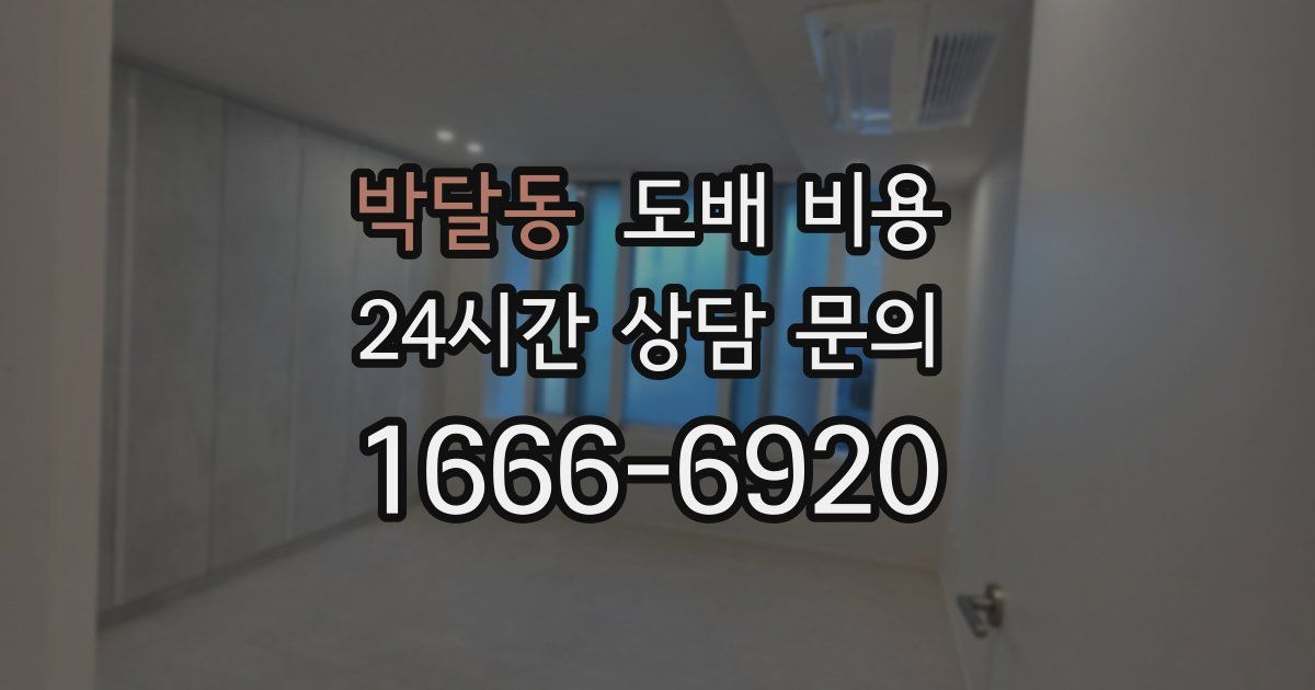 박달동 도배 비용