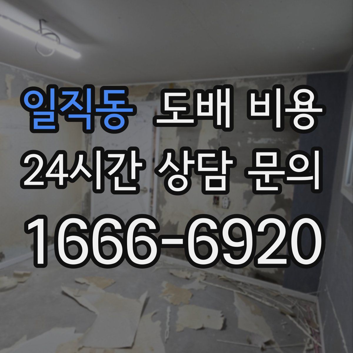 일직동 도배 비용