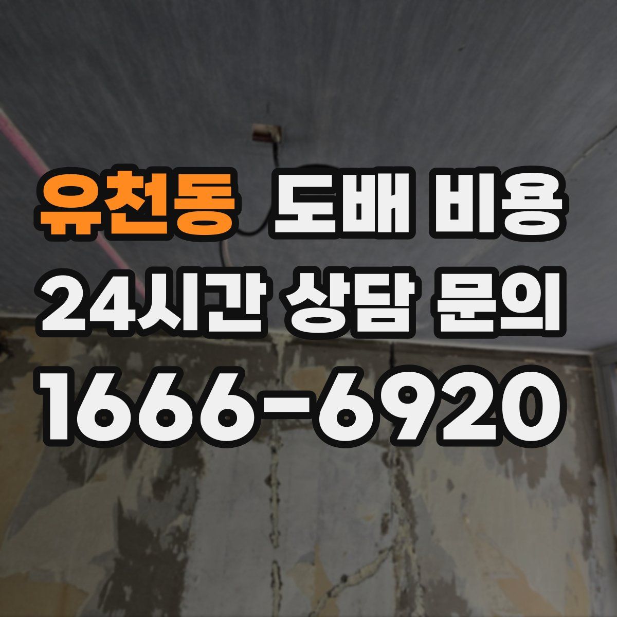 유천동 도배 비용