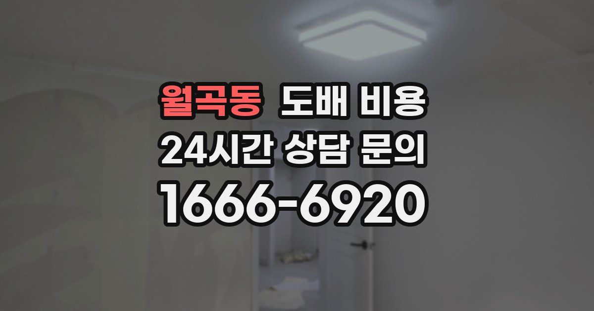 월곡동 도배 비용