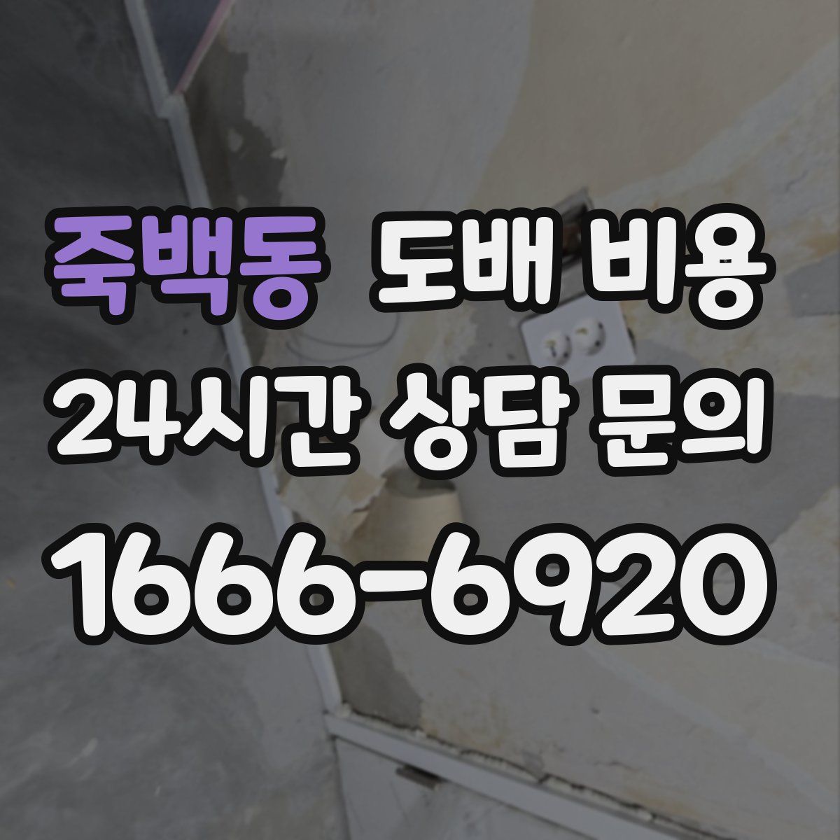 죽백동 도배 비용