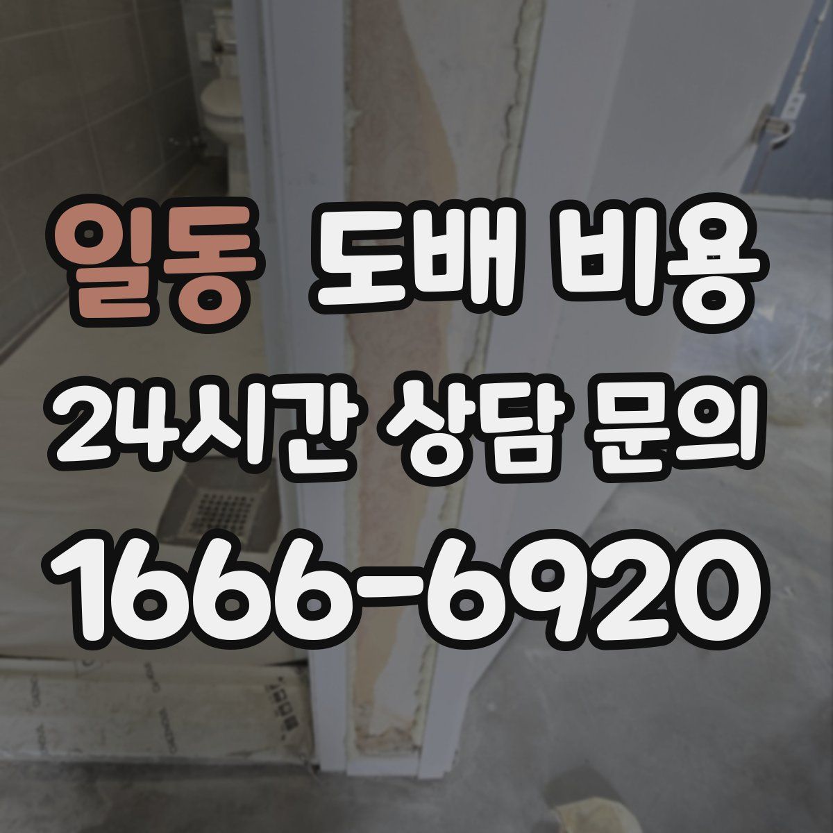 일동 도배 비용
