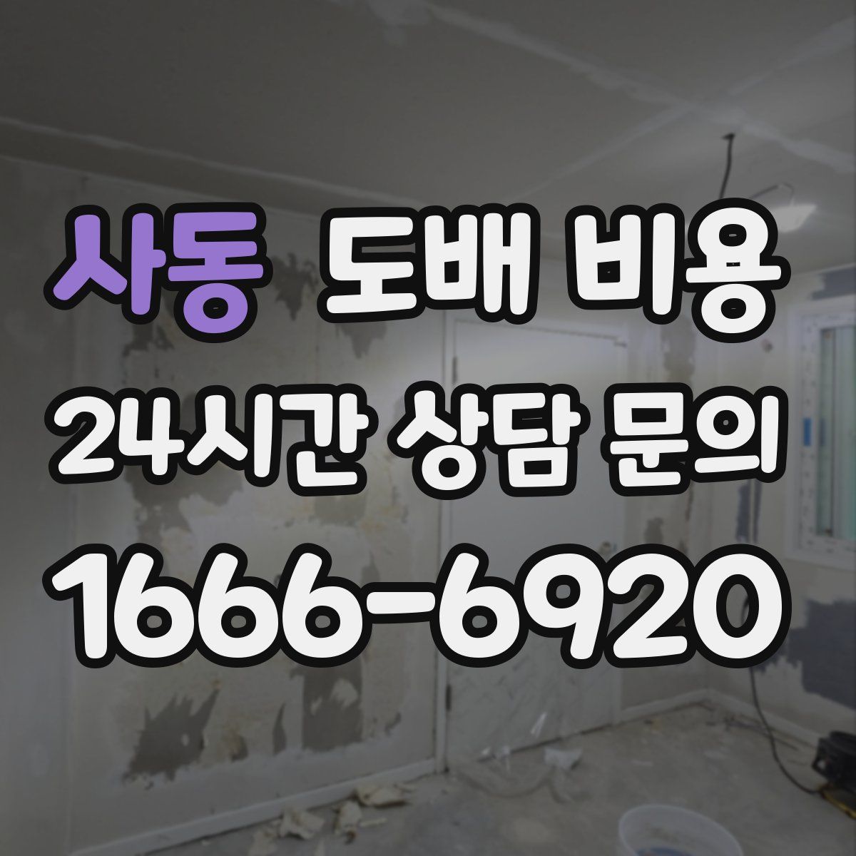 사동 도배 비용