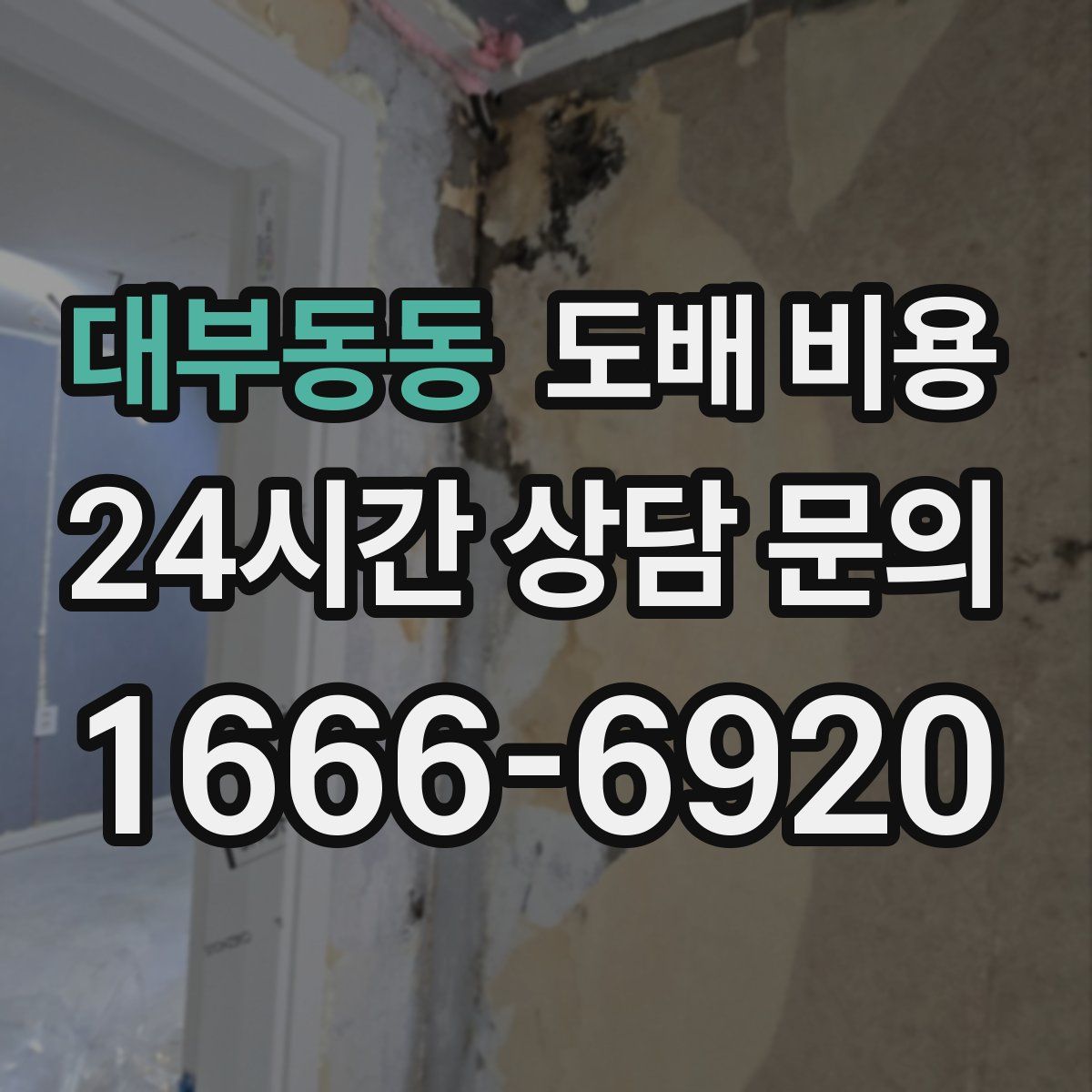 대부동동 도배 비용