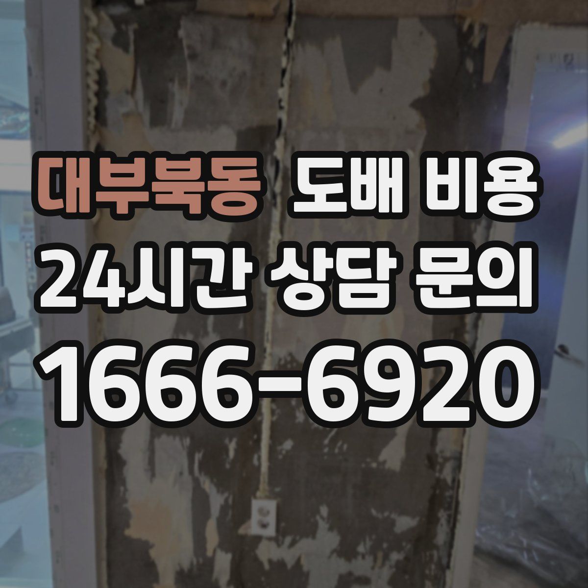 대부북동 도배 비용