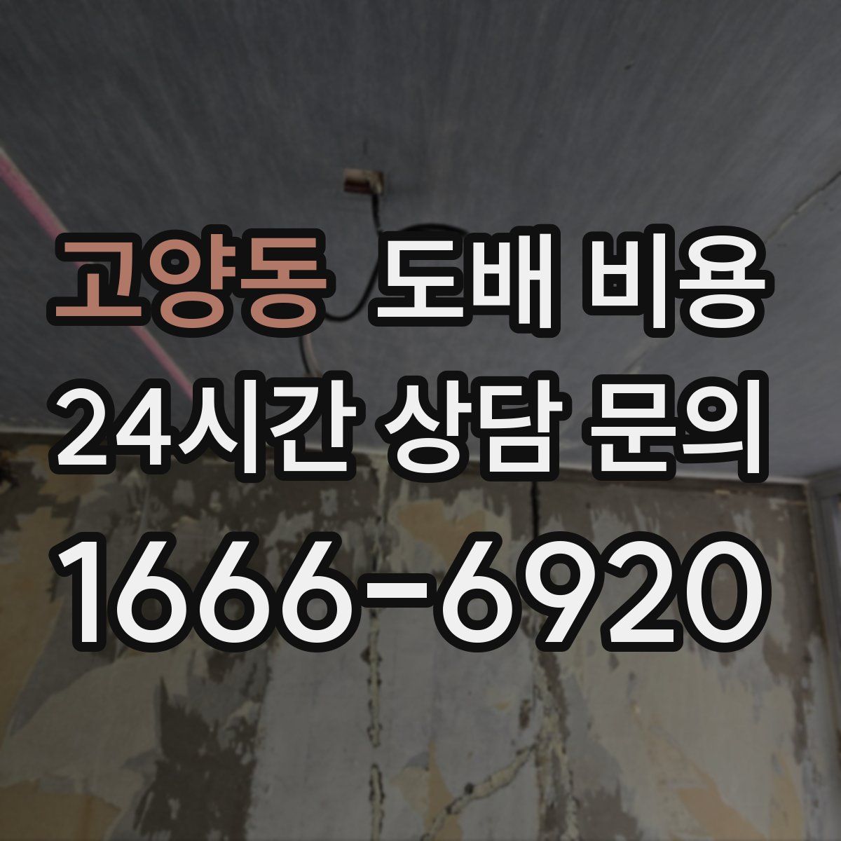 고양동 도배 비용