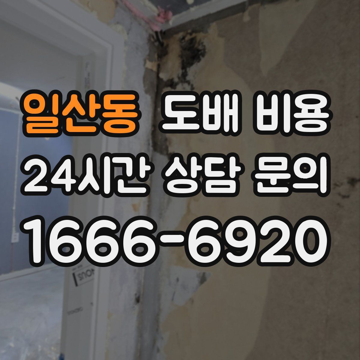 일산동 도배 비용