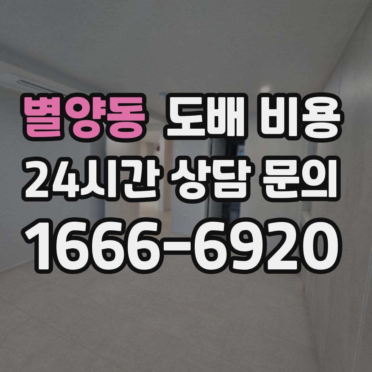 별양동 도배 비용