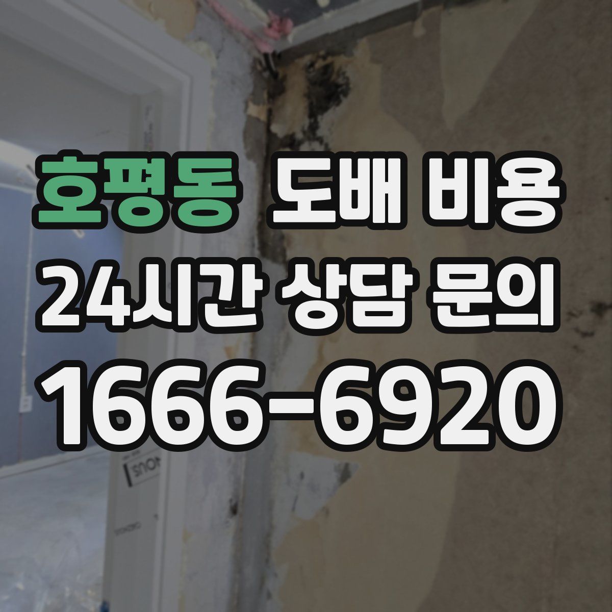 호평동 도배 비용