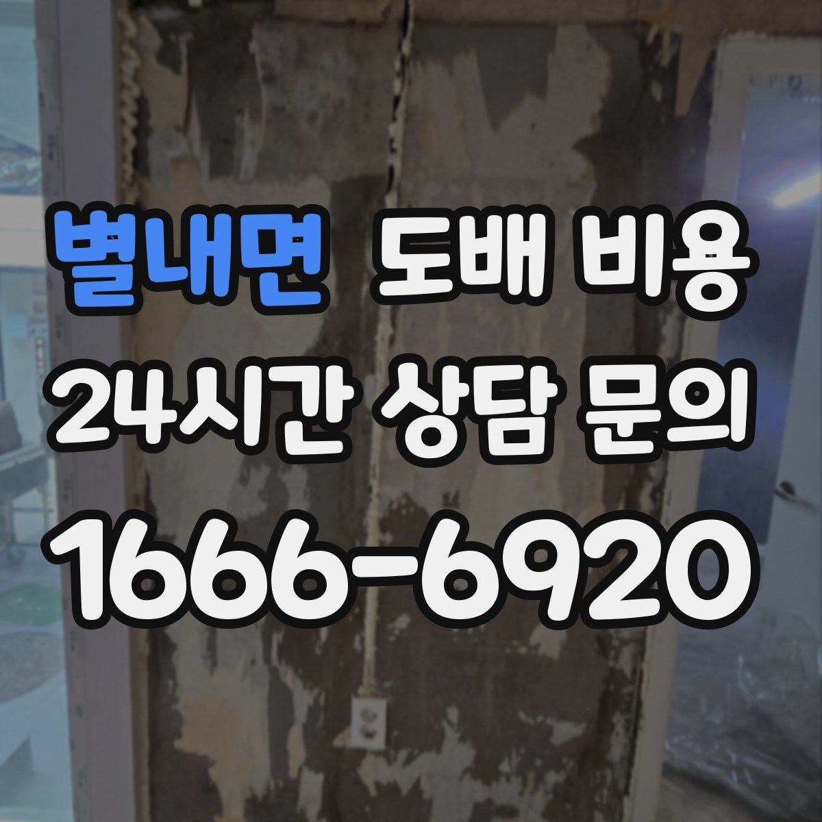 별내면 도배 비용