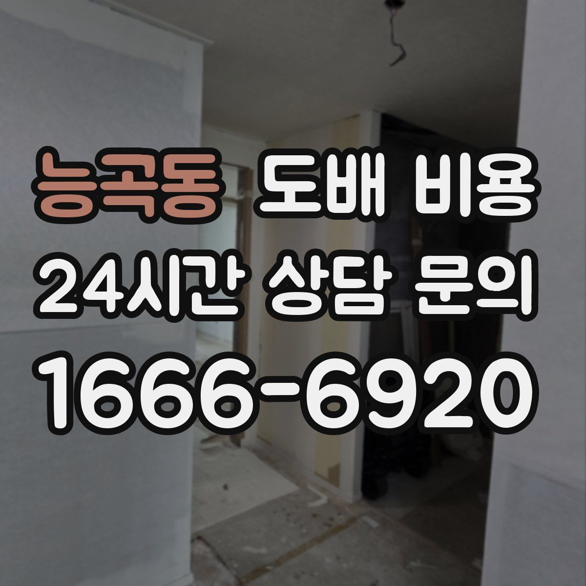 능곡동 도배 비용