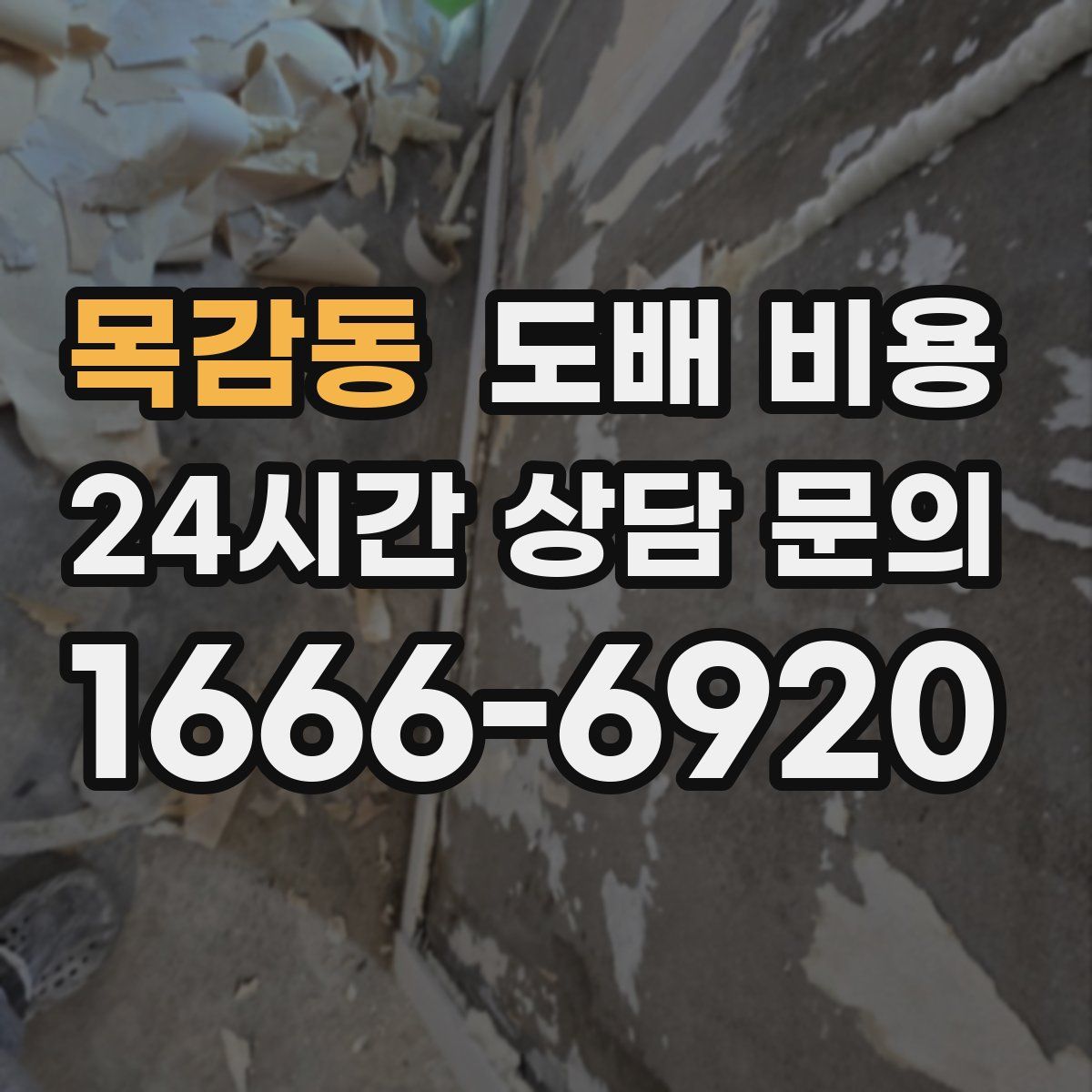 목감동 도배 비용