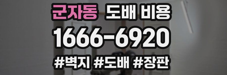 군자동 도배 비용