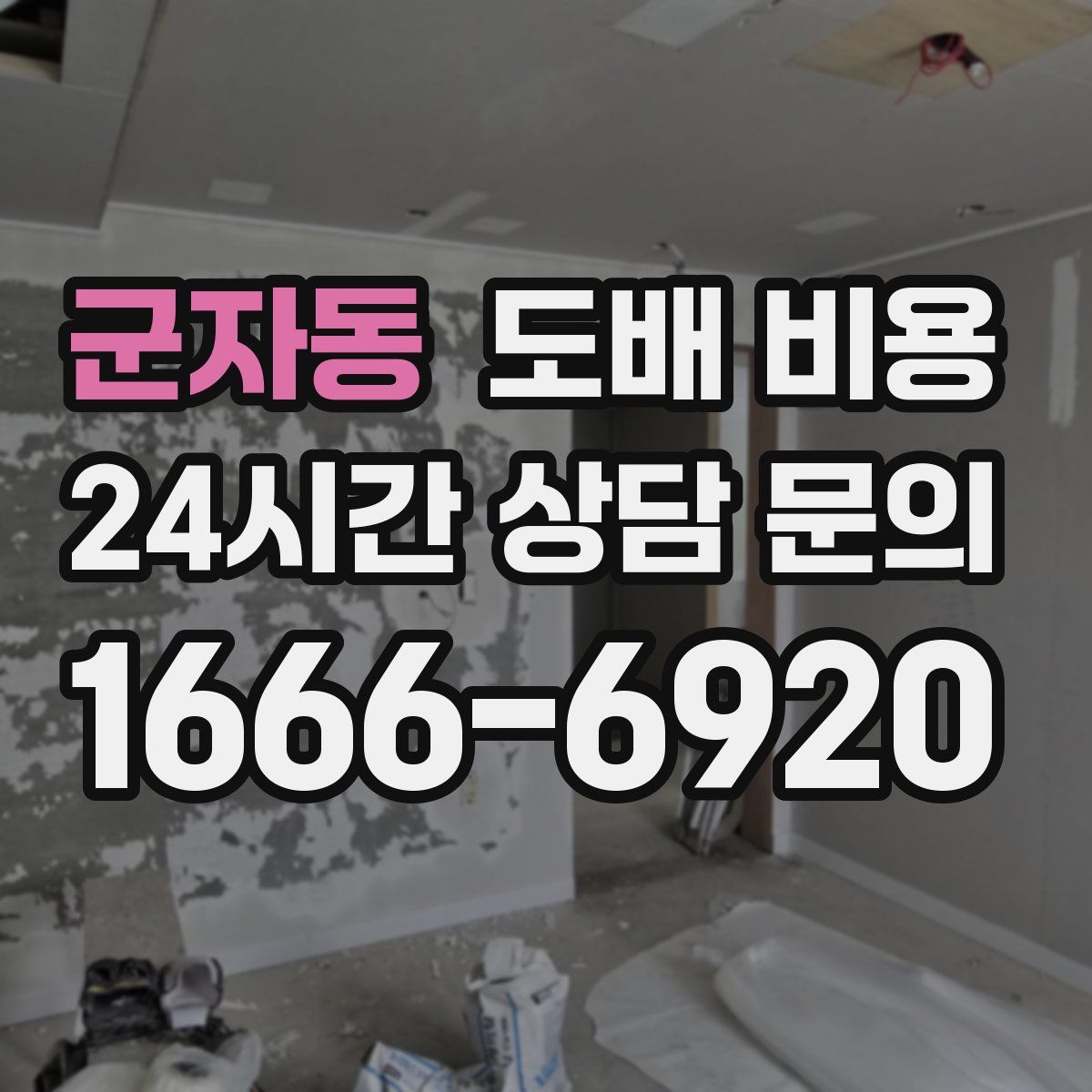 군자동 도배 비용