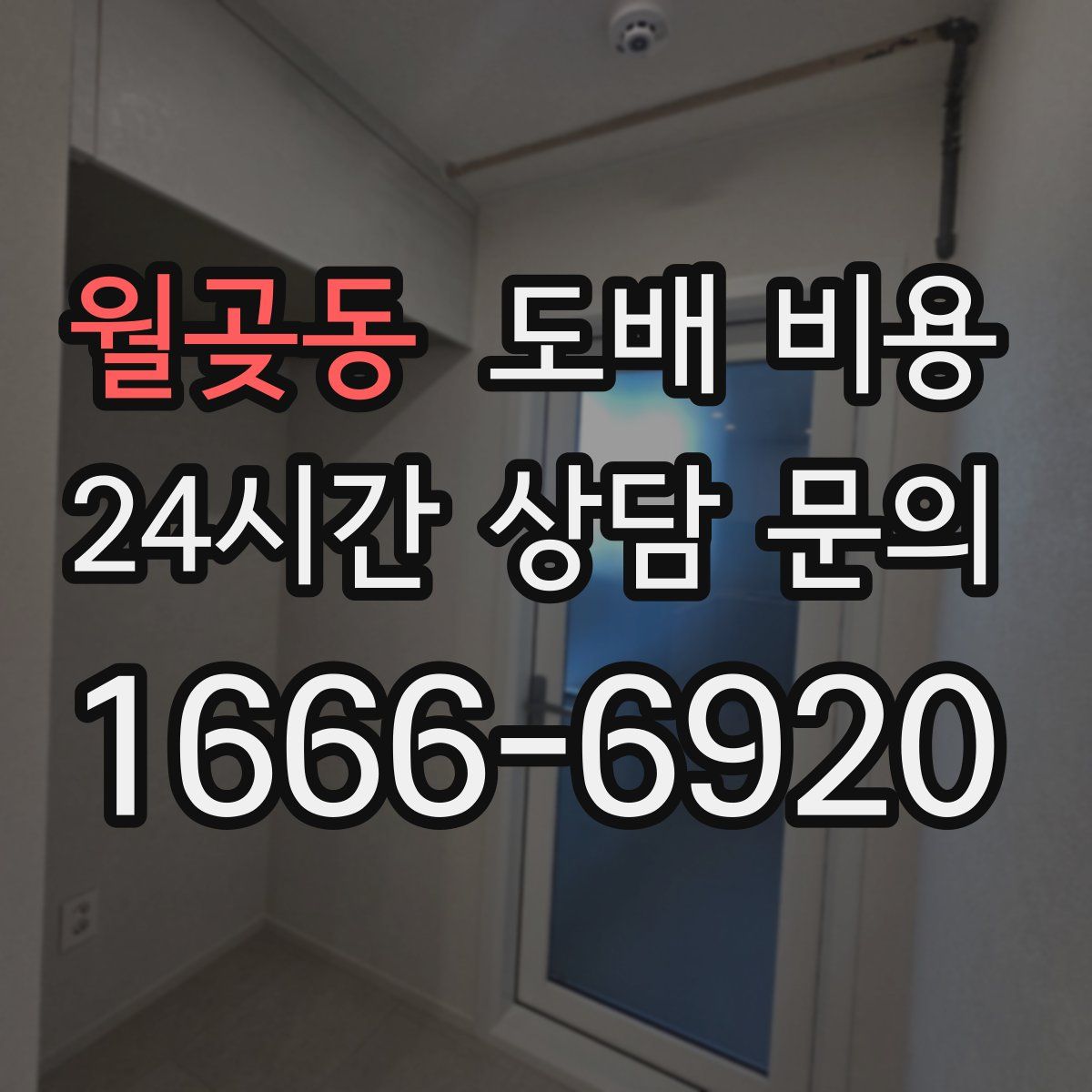 월곶동 도배 비용