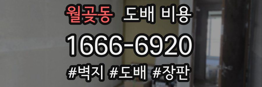 월곶동 도배 비용