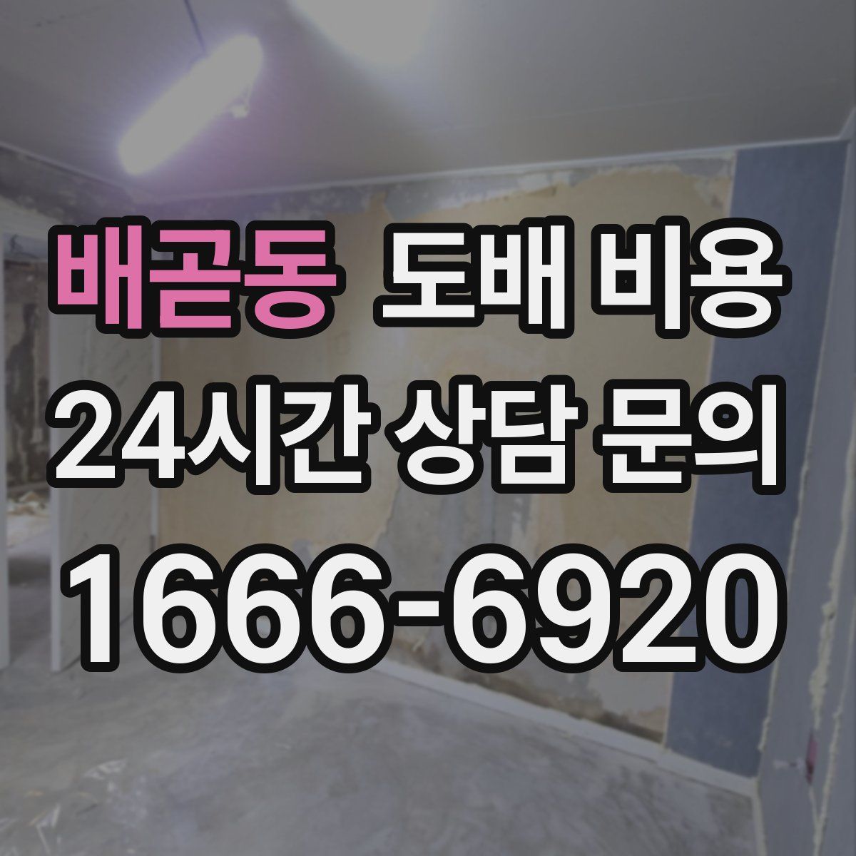 배곧동 도배 비용