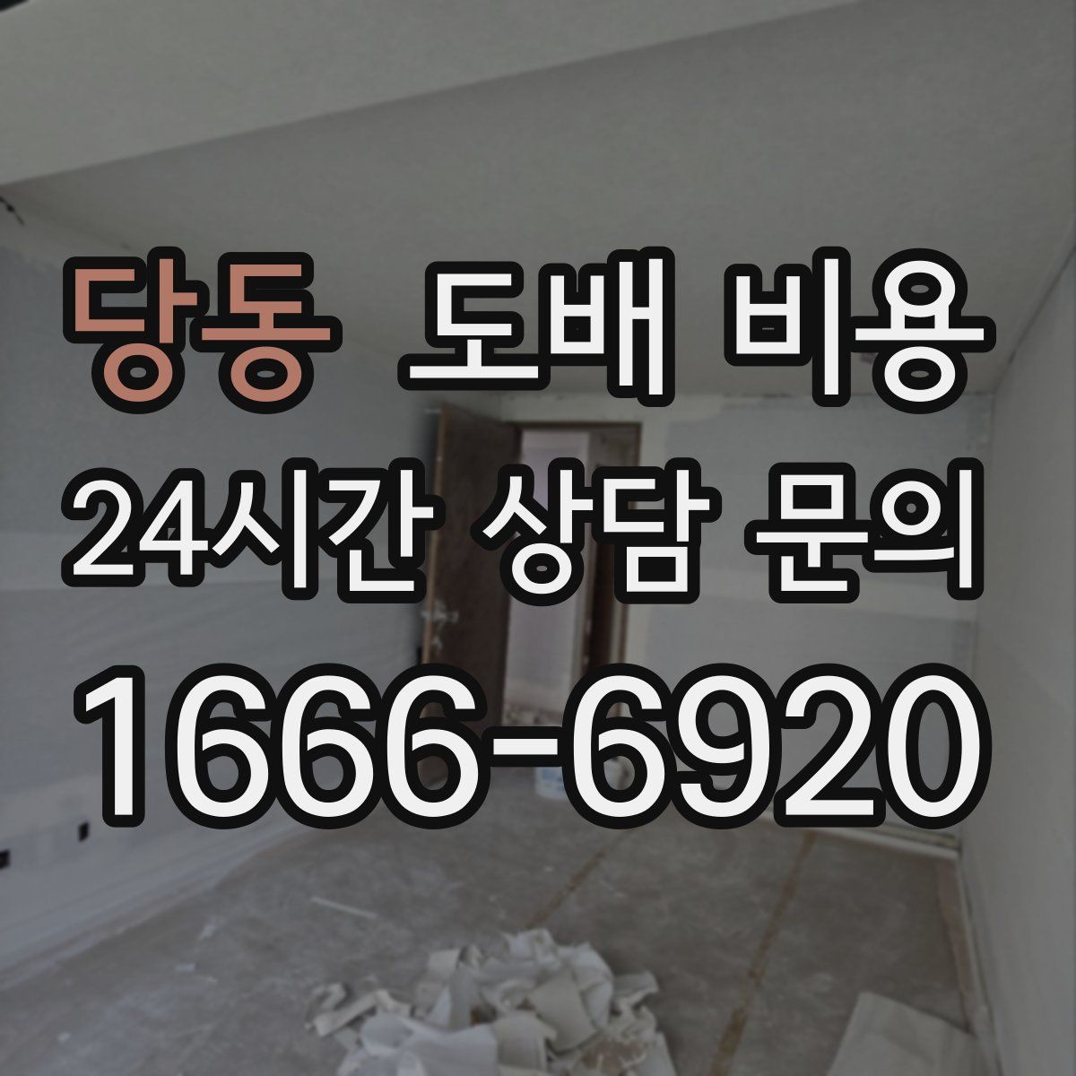 당동 도배 비용