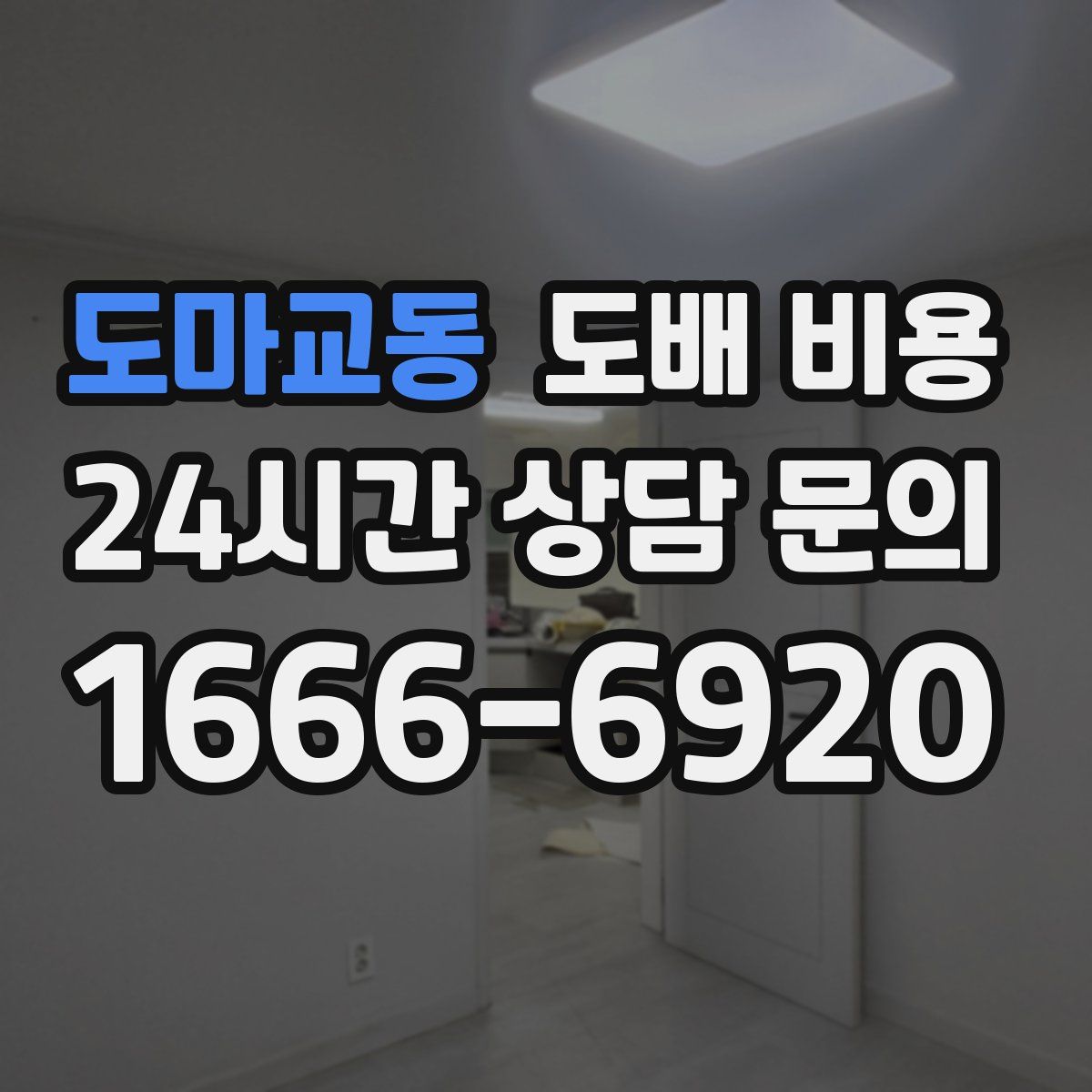 도마교동 도배 비용