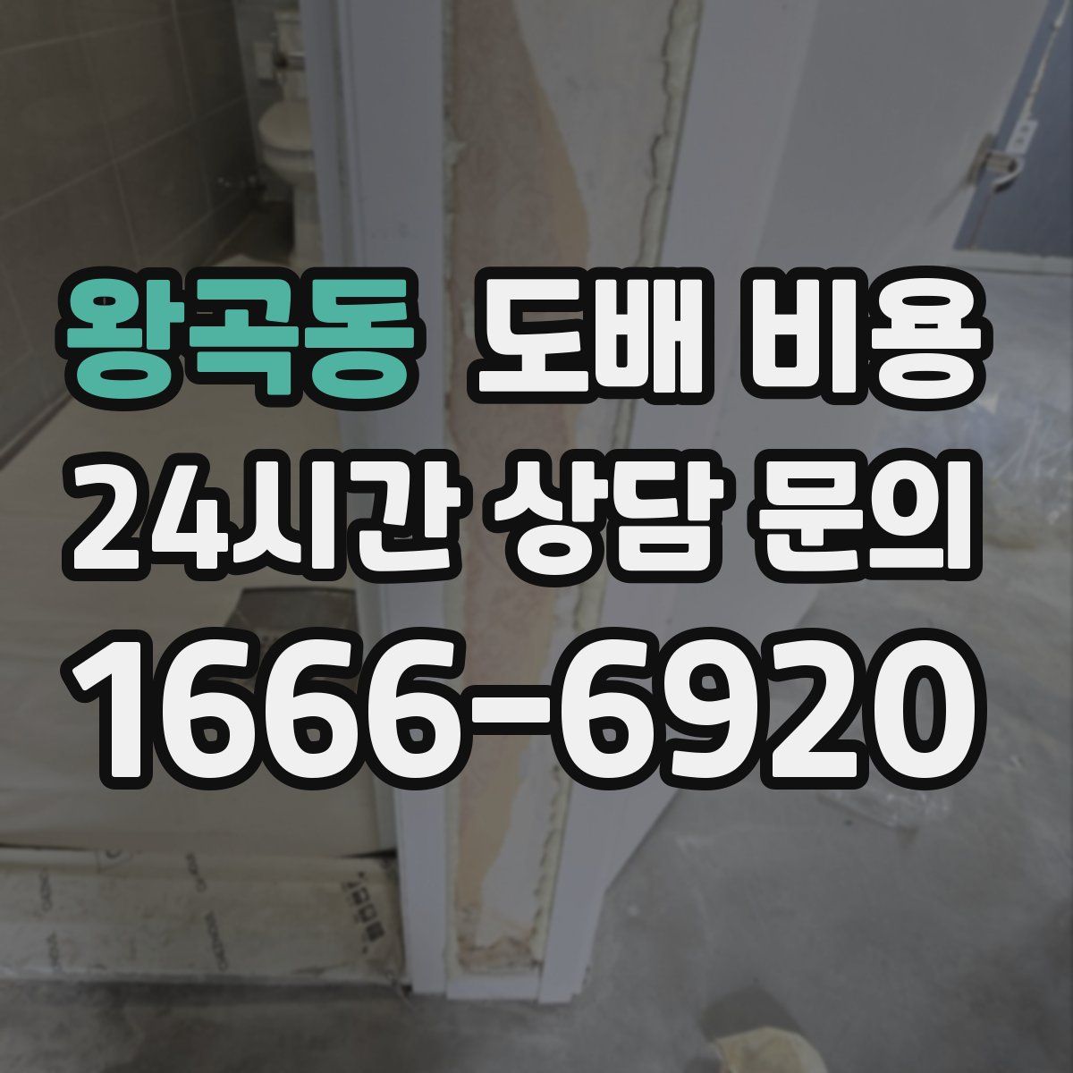 왕곡동 도배 비용