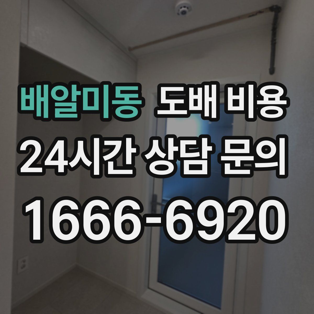 배알미동 도배 비용